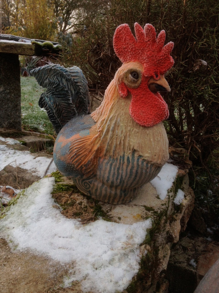 Un coq dans la neige