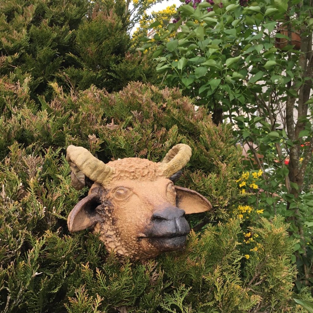 Un bélier dans la haie